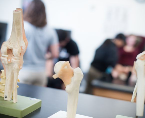 models of joints from the training room